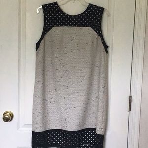 Ann Taylor Dress